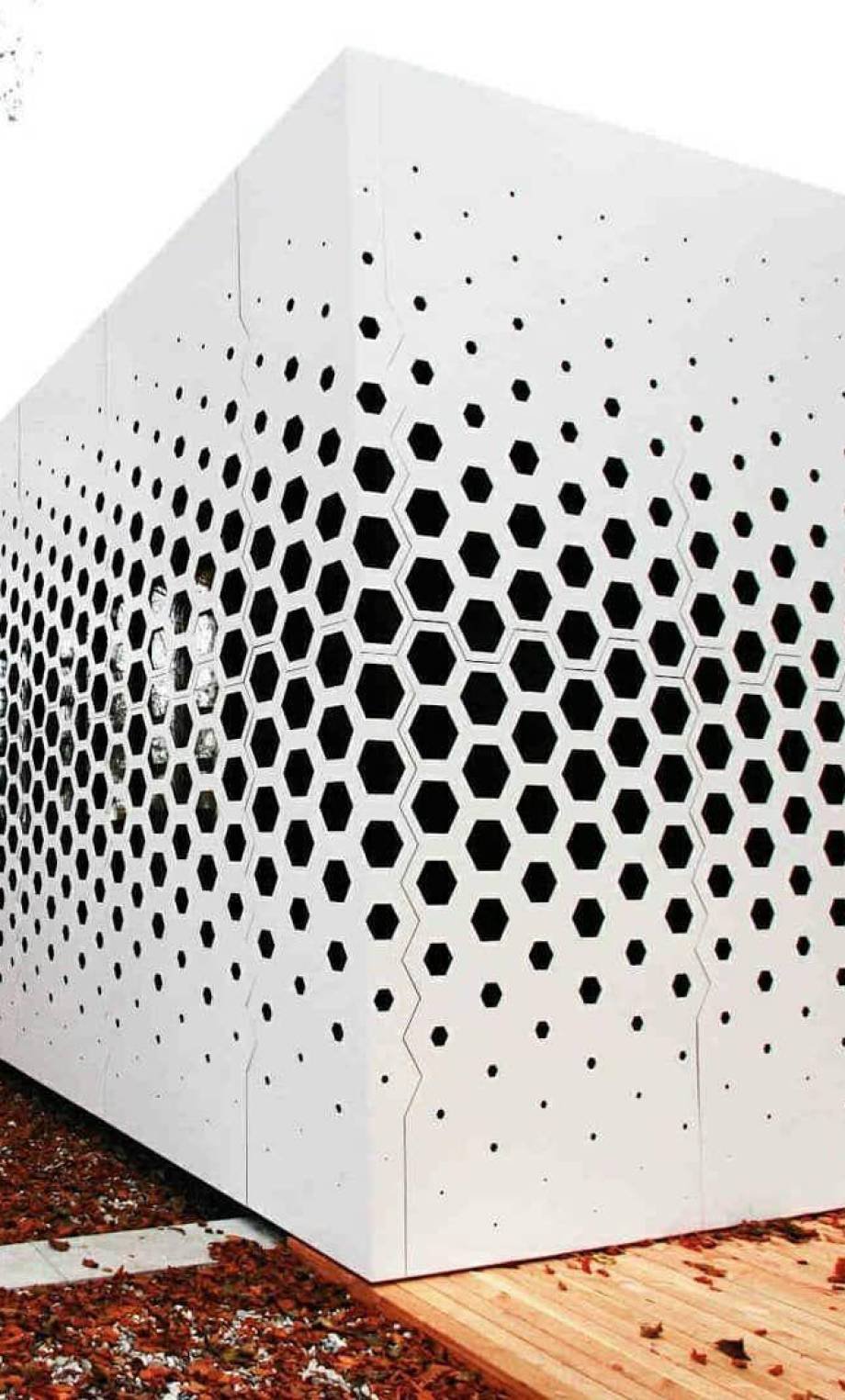 WhatsApp Image 2025-08-18 at 12.44.10 PM (1)