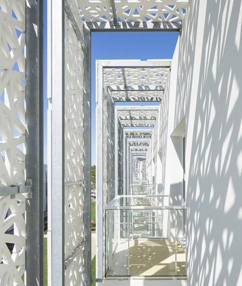 WhatsApp Image 2025-08-18 at 12.44.10 PM